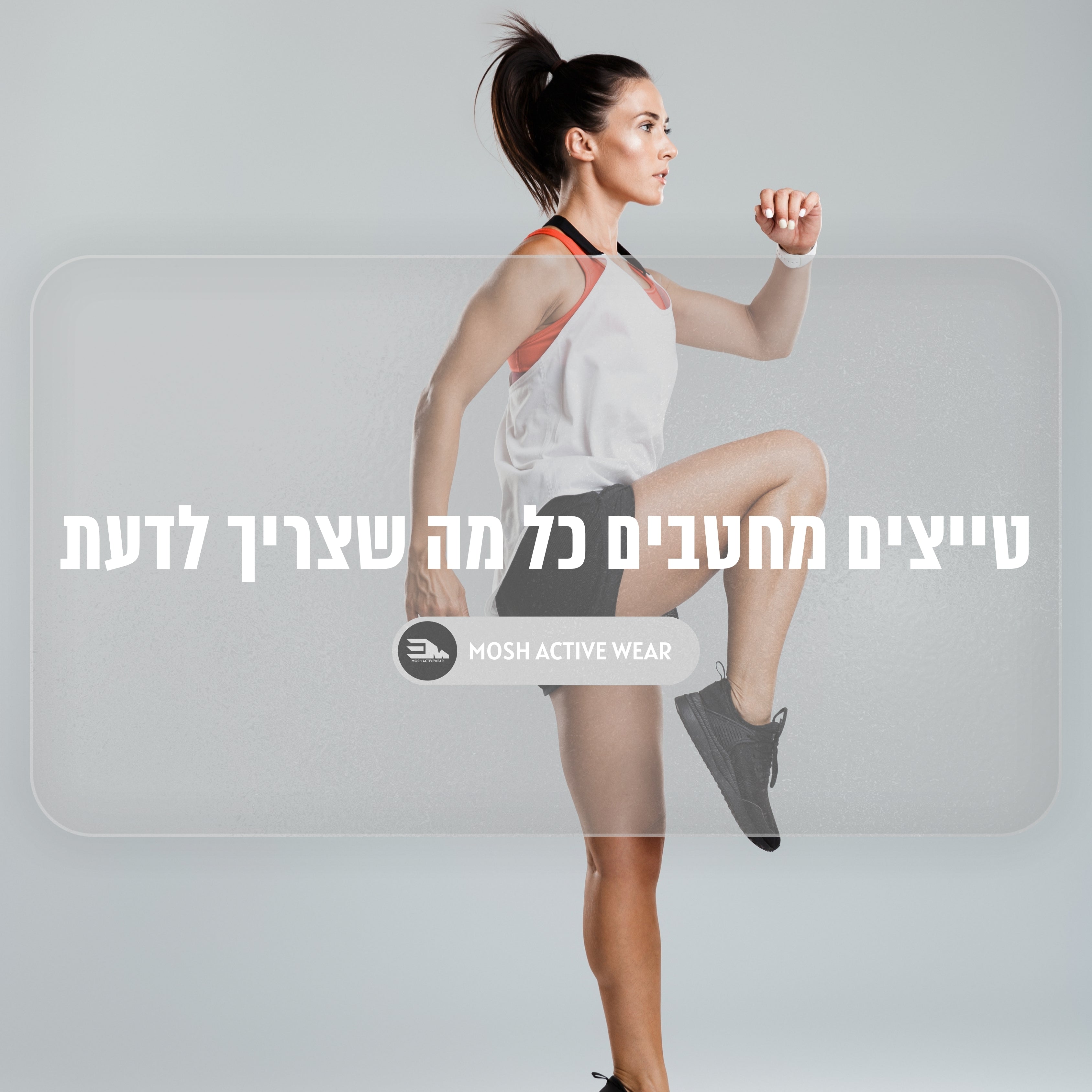טייצים מחטבים כל מה שצריך לדעת