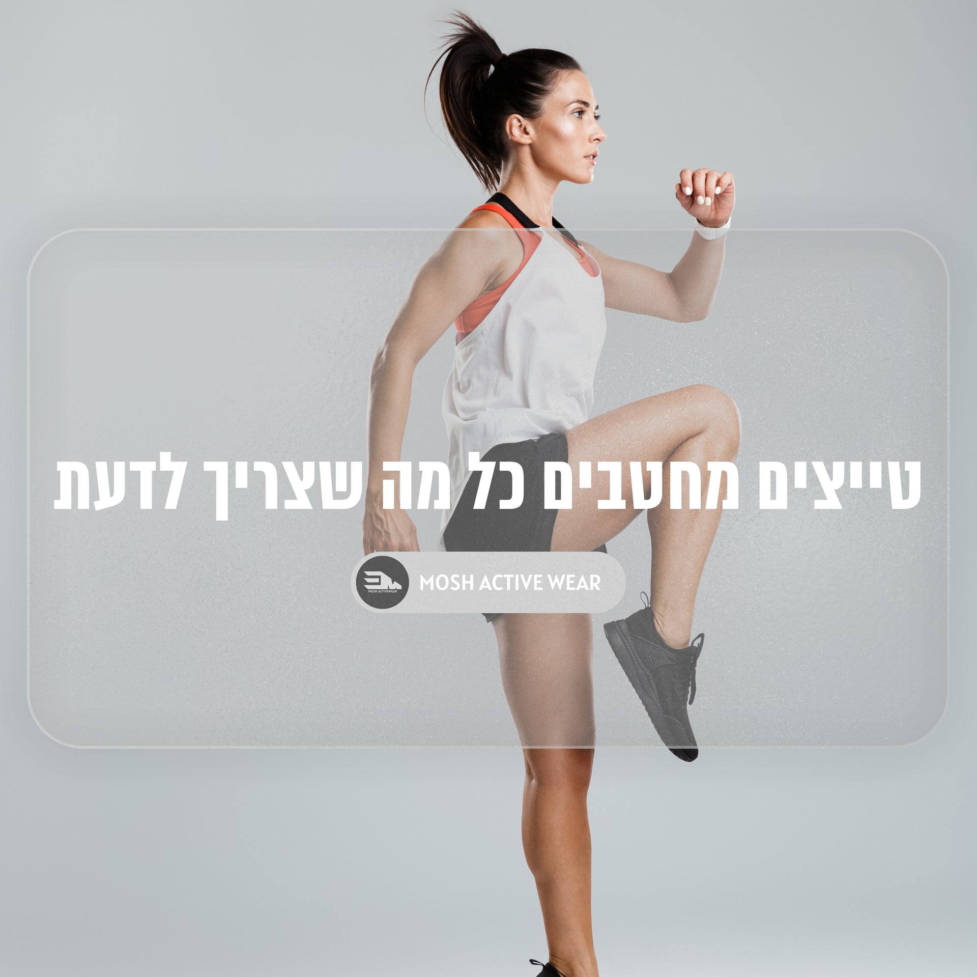 טייצים מחטבים כל מה שצריך לדעת